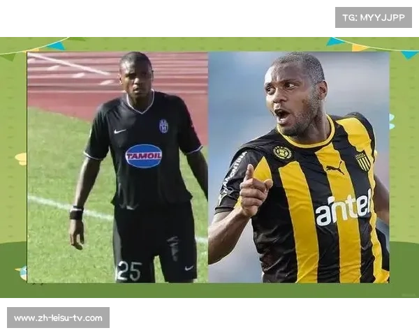 尤文图斯:从辉煌到坚韧的意甲老妇人传奇与辉煌历程 尤文图斯:从辉煌到坚韧的意甲老妇人传奇与辉煌历程